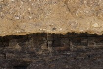 224189-210x140