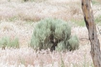 224432-210x140
