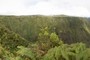 Wiapio Valley 