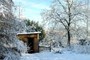 Snow...