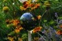 Glass bulb