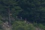 Hikers on their way to Balanced Rock