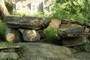 Stone Table