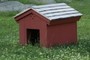 Doghouse