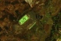 225329-210x140