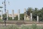 columns