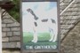 Greyhound