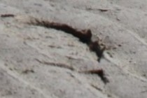 235252-210x140