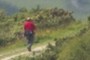 hiker