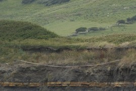 Firehose Connected to Oil Well