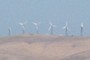 windmills