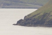 225927-210x140