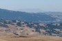 Tamalpais