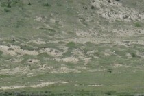 226506-210x140