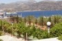 Tenniscourt