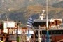 tourist boats 