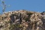 old fort on top