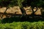 nice shady spot