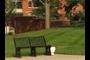Park Bench