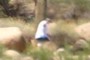 Hiker position 2