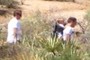 More hikers