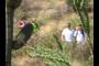 more hikers 2