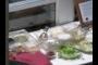 the food