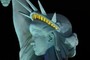 Statue of Liberty