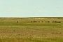 Sage Creek Rim Panorama
