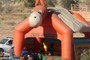 Silly donkey