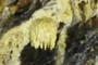 Silica Stalactite