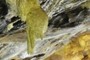 Silica Stalactite
