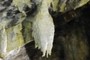 White Silica Stalactite