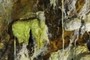 Green Silica Stalactite