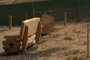 Wooden Bench