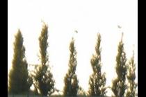 23484-210x140