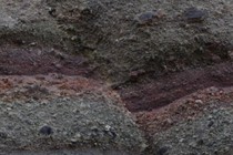 228555-210x140