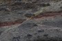 Normal Fault