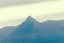 228626-210x140