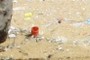 Litter