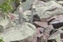 Trail Marker