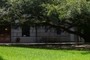 Ancient Oak Tree