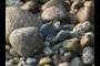 Small Stones