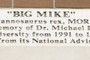 BIG MIKE
