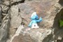 Brainy Smurf