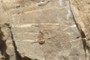 Structural detail