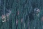 Jeep trail
