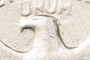 Head of the eagle