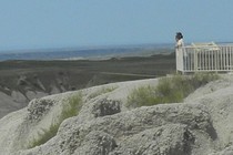 232709-210x140