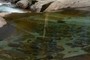 Clear Water